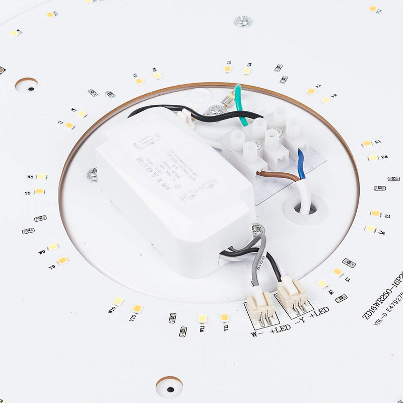 12W Vernickelt Runde LED Deckenleuchte (Weiß/Warmweiß/Farbwechsel)